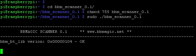 bbm_scanner launch